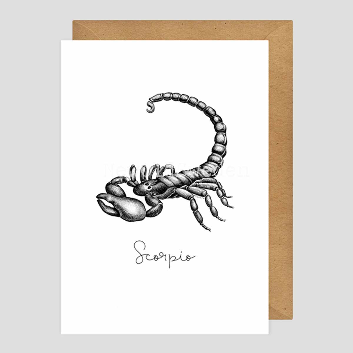 Skorpionen - Scorpio 23 oktober - 21 november - 2