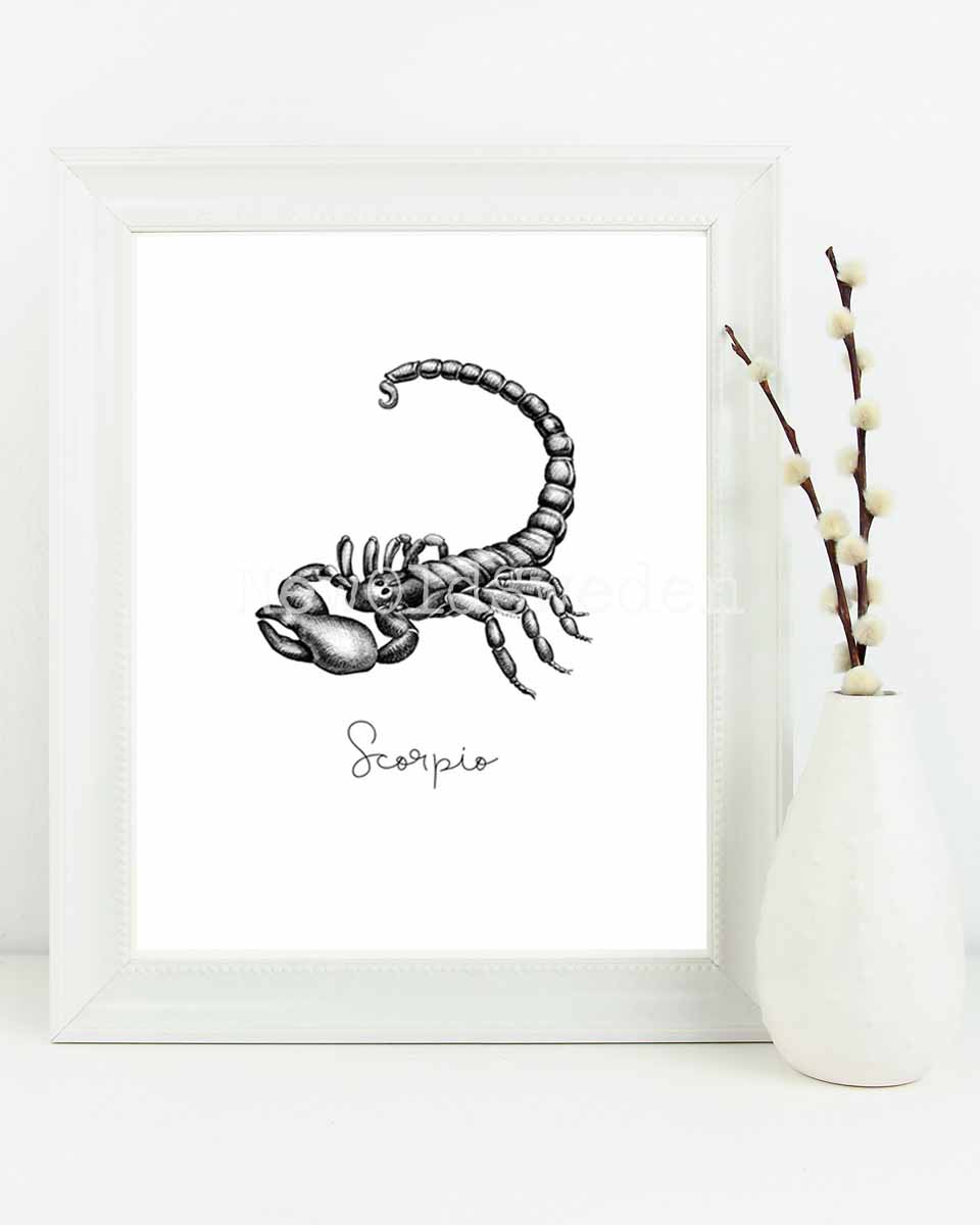 Skorpionen - Scorpio 23 oktober - 21 november - 3