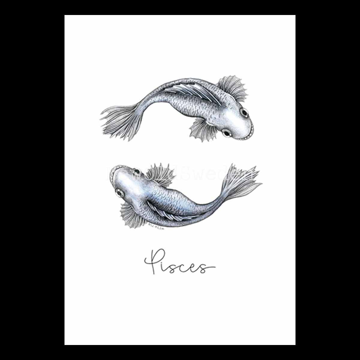 Fiskarna - Pisces 19 februari - 20 mars