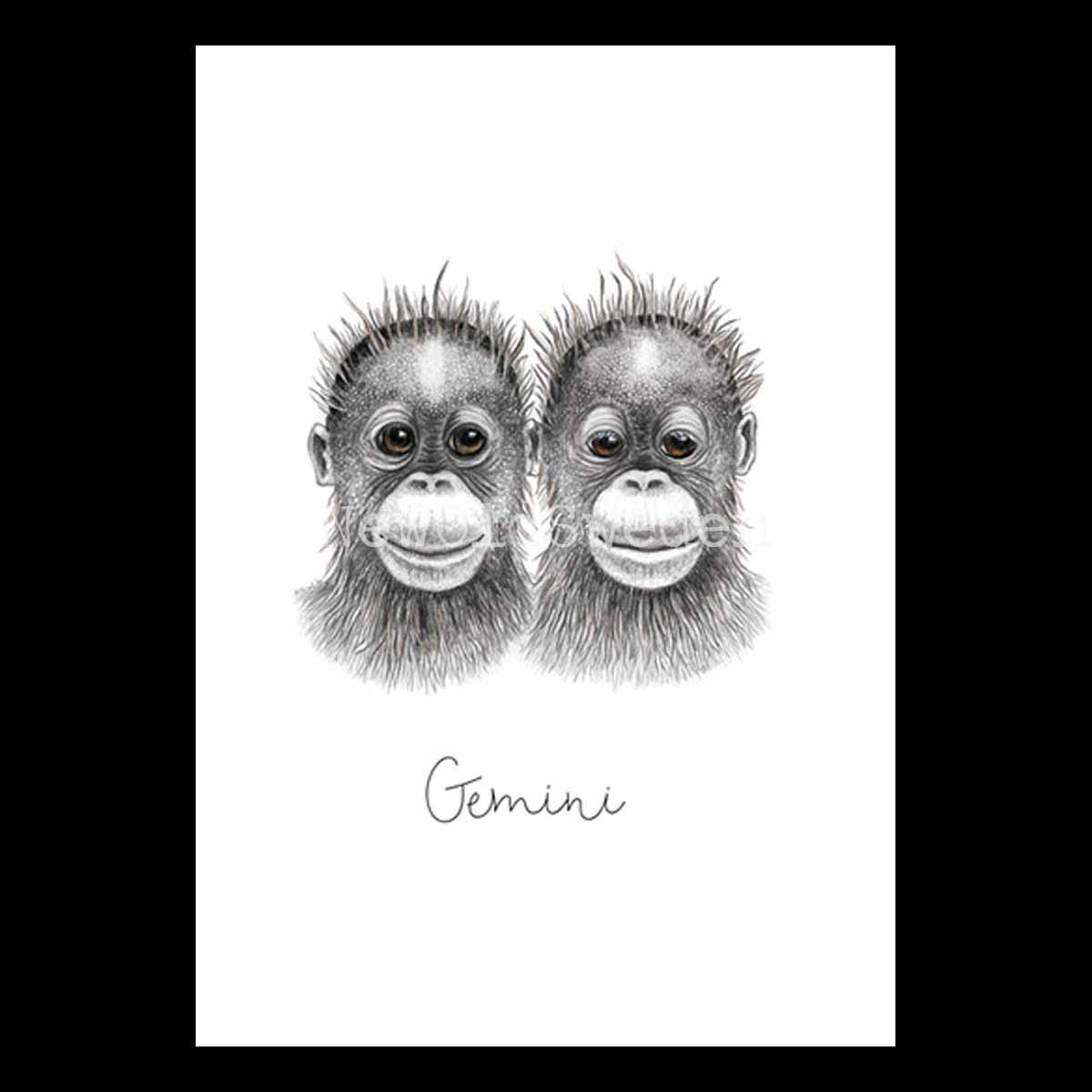 Tvillingarna - Gemini 21 maj - 20 juni