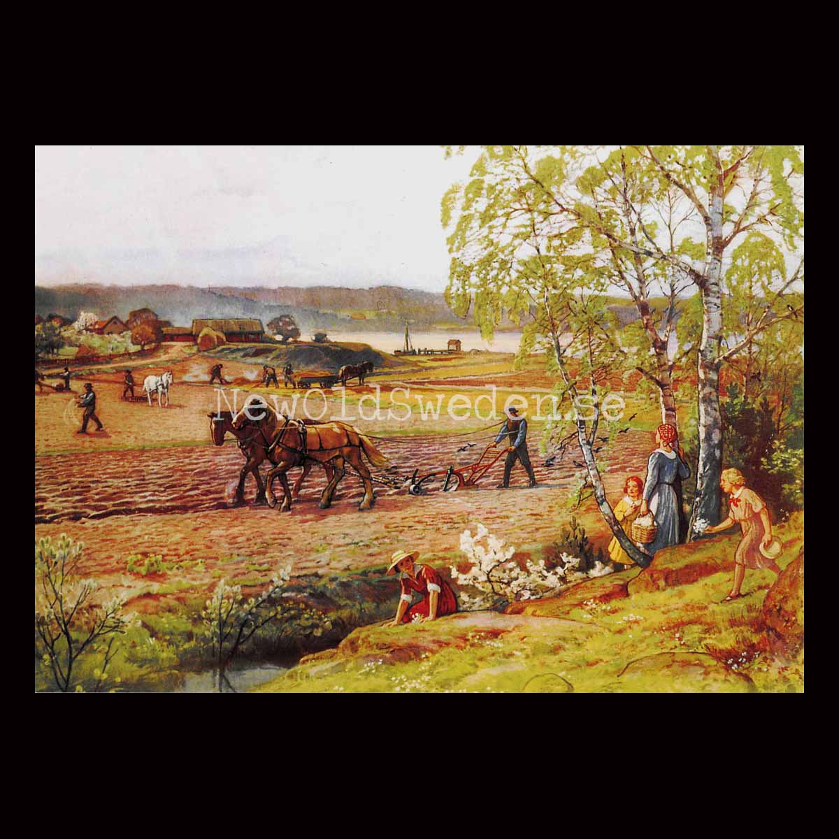 SKOLPLANSCH - Vårbruk - Vykort A5