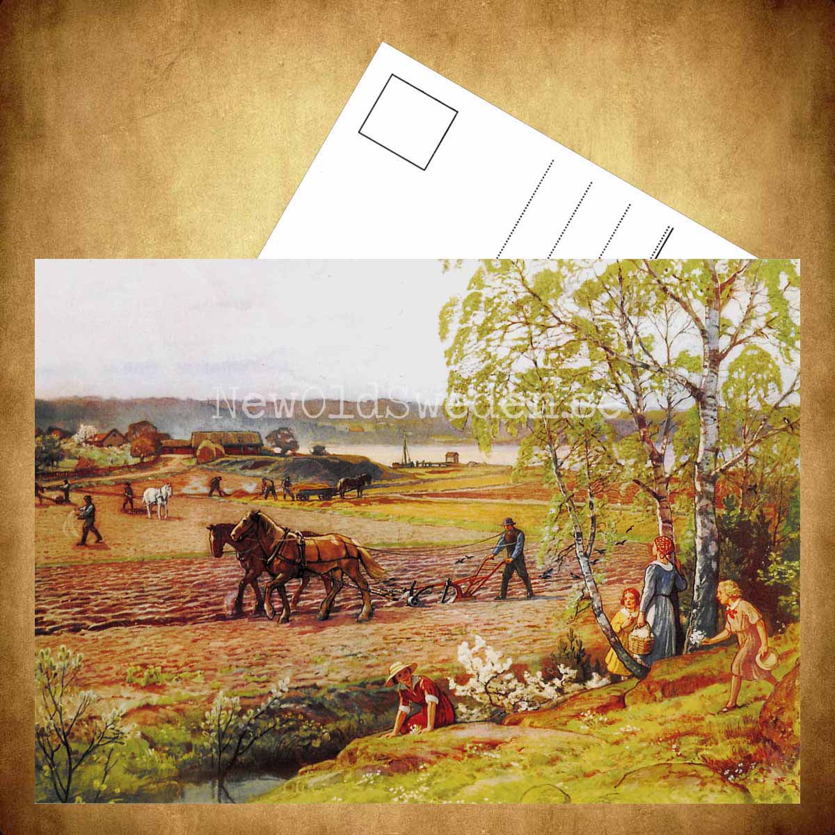 SKOLPLANSCH - Vårbruk - Vykort A5 - 3