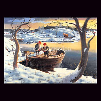 Ekan Vykort 529 Jan Bergerlind - 905