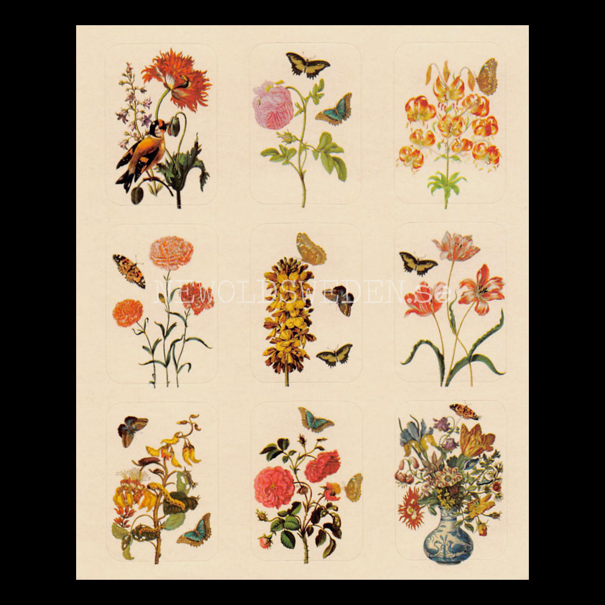 Art Stickers 45 stycken - Maria Sibylla Merian 1647 - 1717 - 3