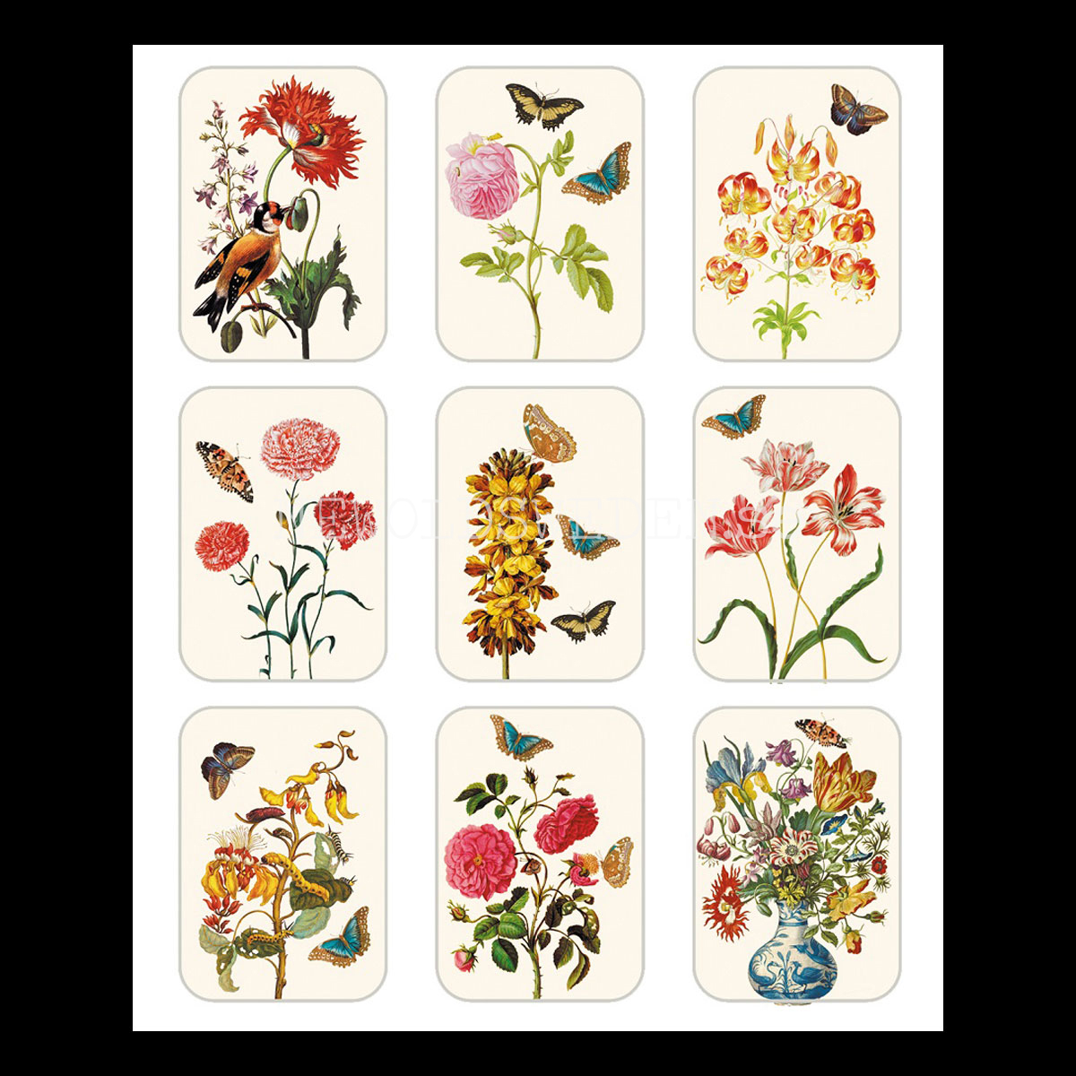 Art Stickers 45 stycken - Maria Sibylla Merian 1647 - 1717 - 2