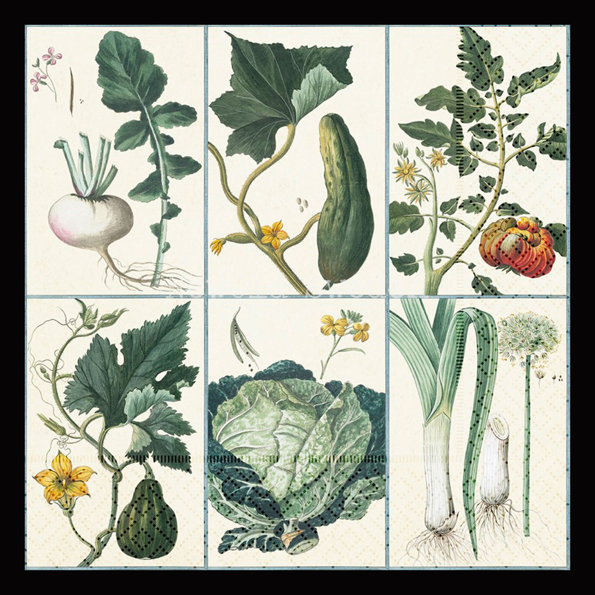 Servetter Grönsaker 33 x 33 cm