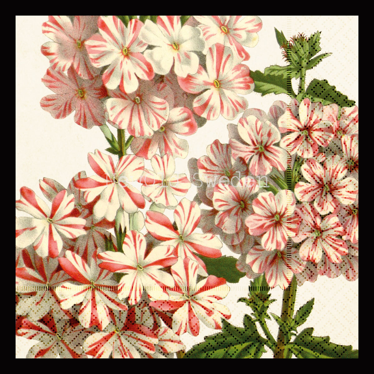 Servetter Pelargon 33 x 33 cm