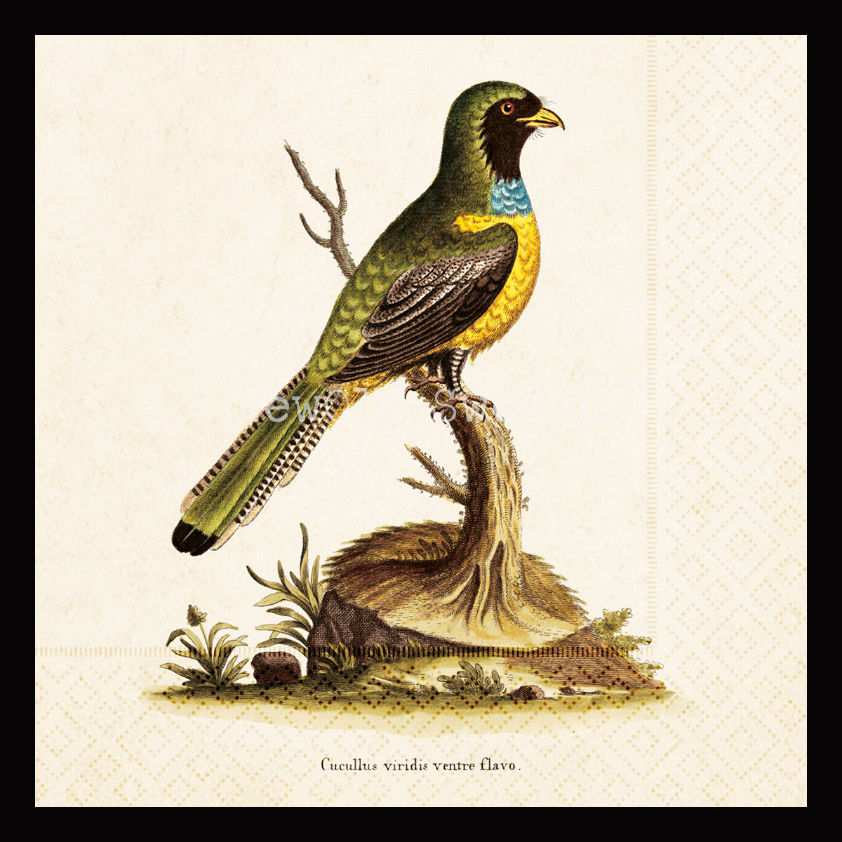 Fågel Servett 33 x 33 cm