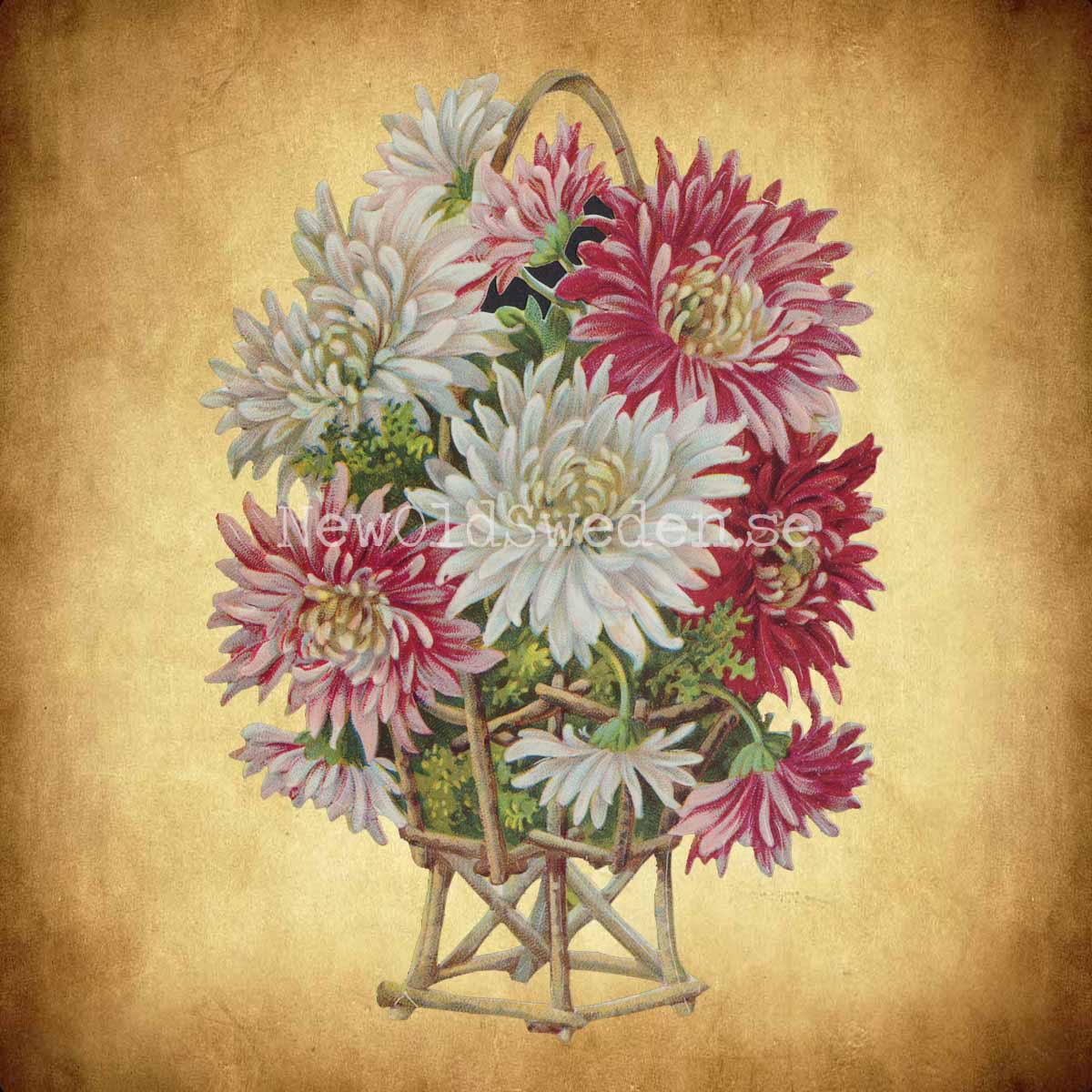 Dahlia with bow 11.5x16 cm - Bokmärke © Ernst Freihoff 5010 - 2