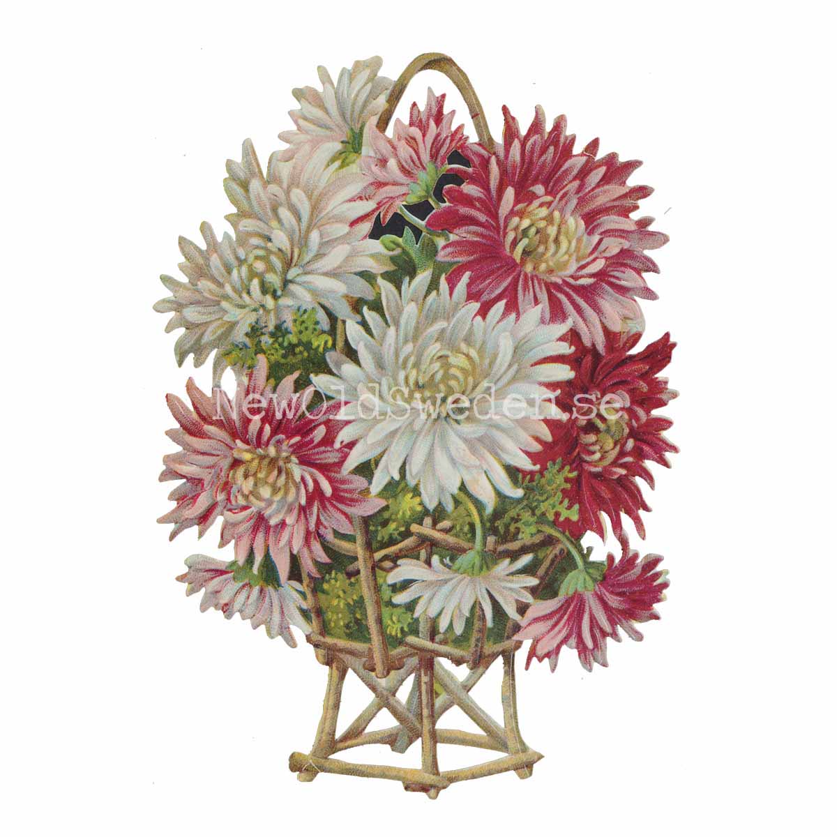 Dahlia with bow 11.5x16 cm - Bokmärke © Ernst Freihoff 5010 - 3