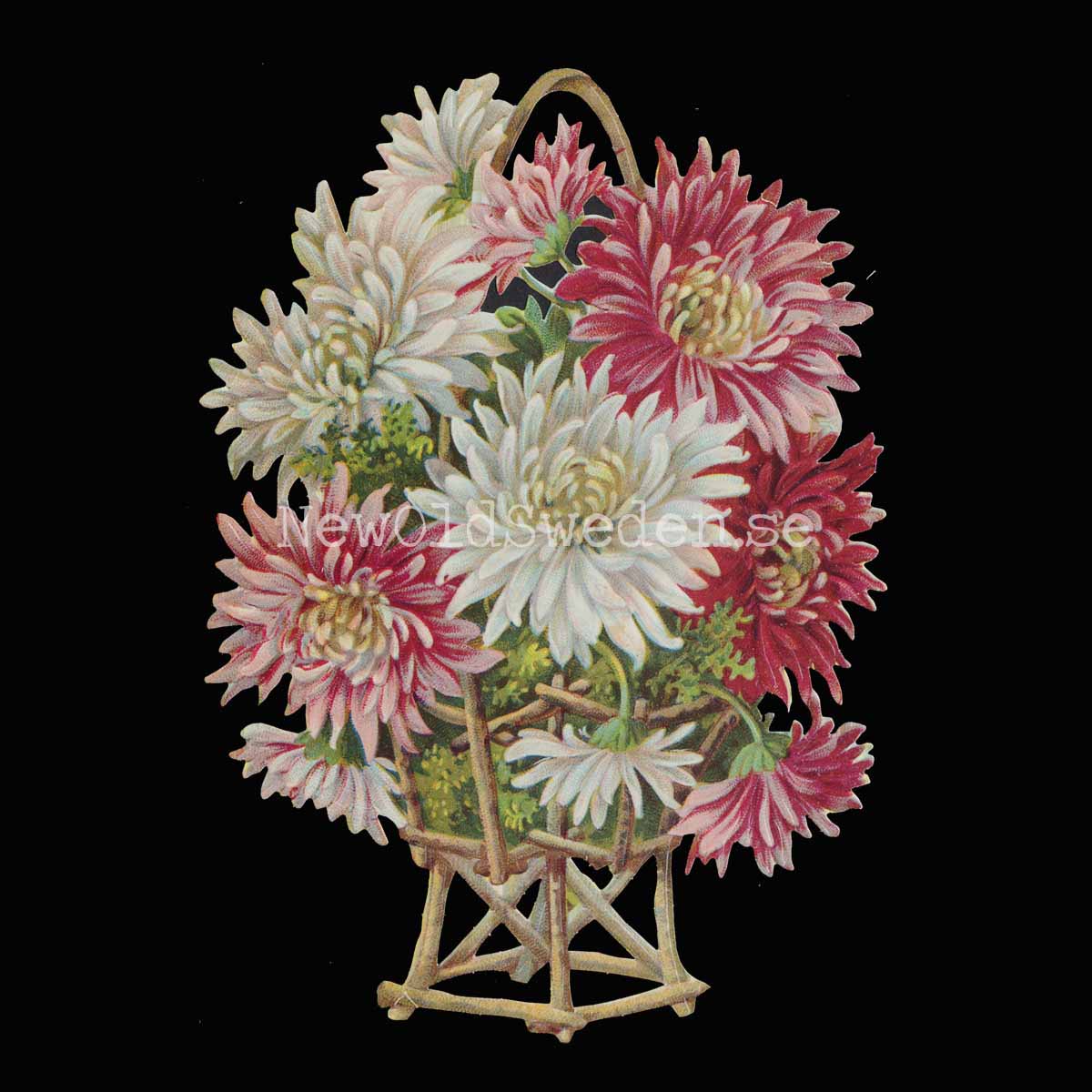 Dahlia with bow 11.5x16 cm - Bokmärke © Ernst Freihoff 5010
