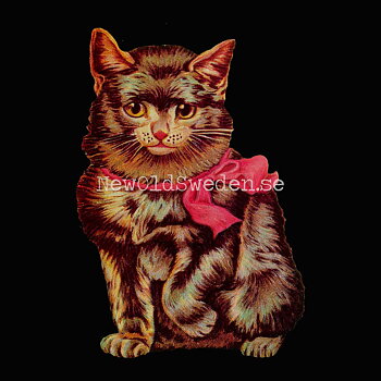 Cat 10x17 cm - Bokmärke © Ernst Freihoff 5011