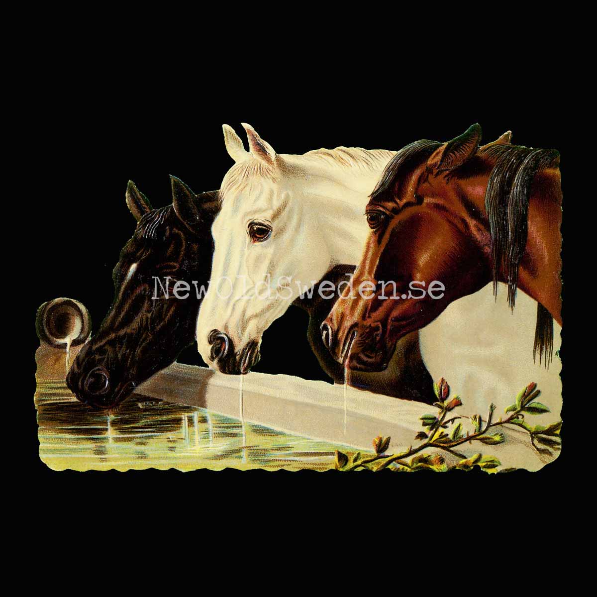 Horses 16x12.5 cm - Bokmärke © Ernst Freihoff 5012