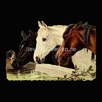 Horses 16x12.5 cm - Bokmärke © Ernst Freihoff 5012