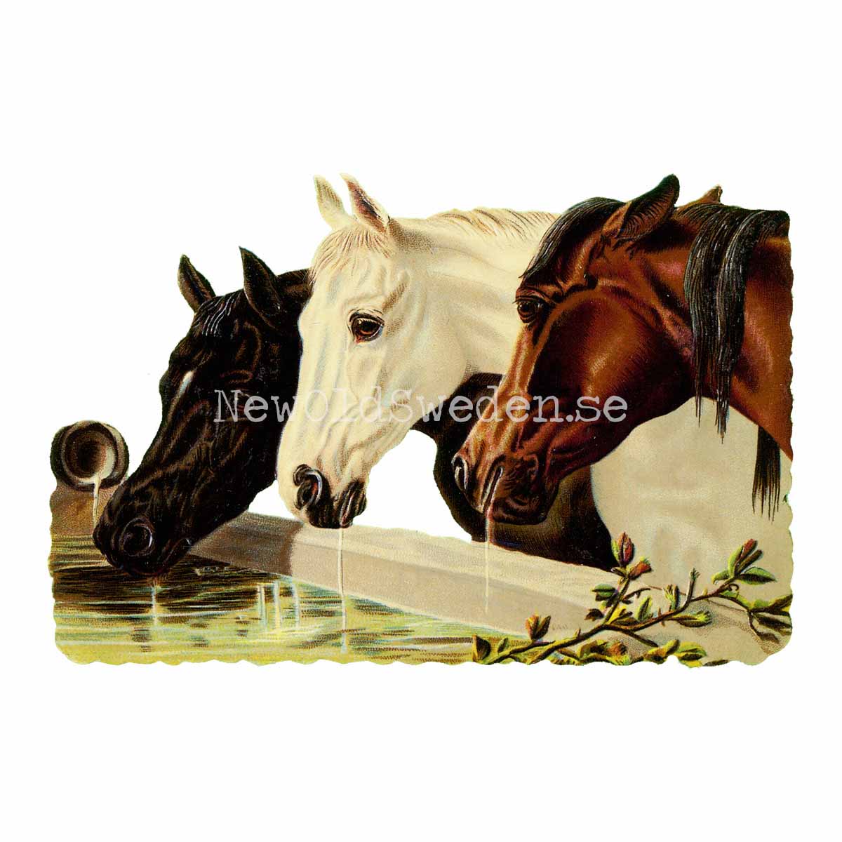 Horses 16x12.5 cm - Bokmärke © Ernst Freihoff 5012 - 3