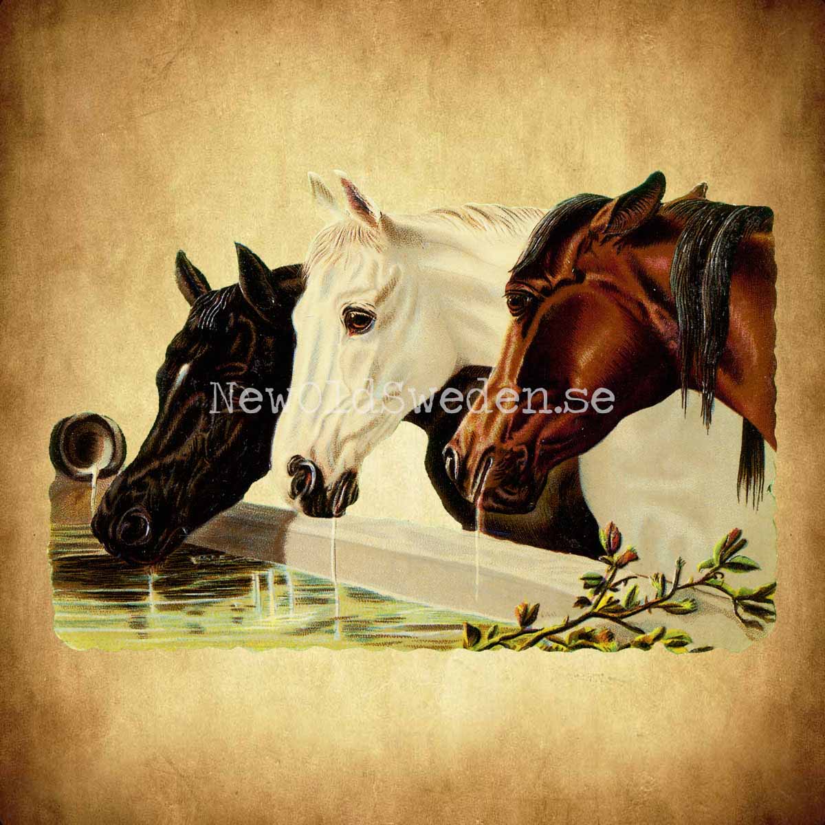 Horses 16x12.5 cm - Bokmärke © Ernst Freihoff 5012 - 2