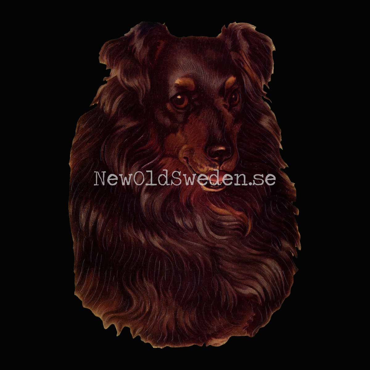 Dog - Collie 11.5x16 cm - Bokmärke © Ernst Freihoff 5031