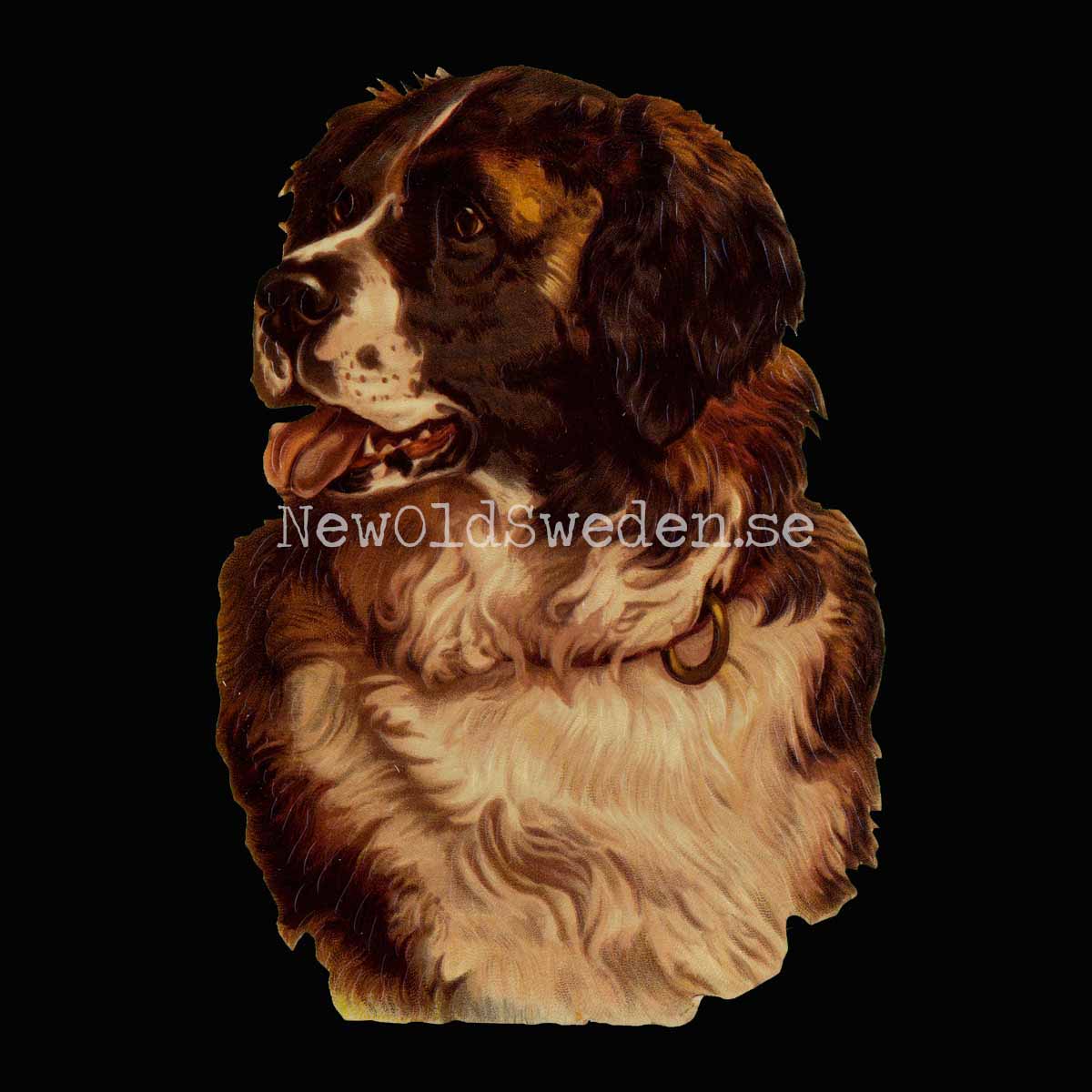 Dog - Saint Bernard 11x16 cm - Bokmärke © Ernst Freihoff 5032