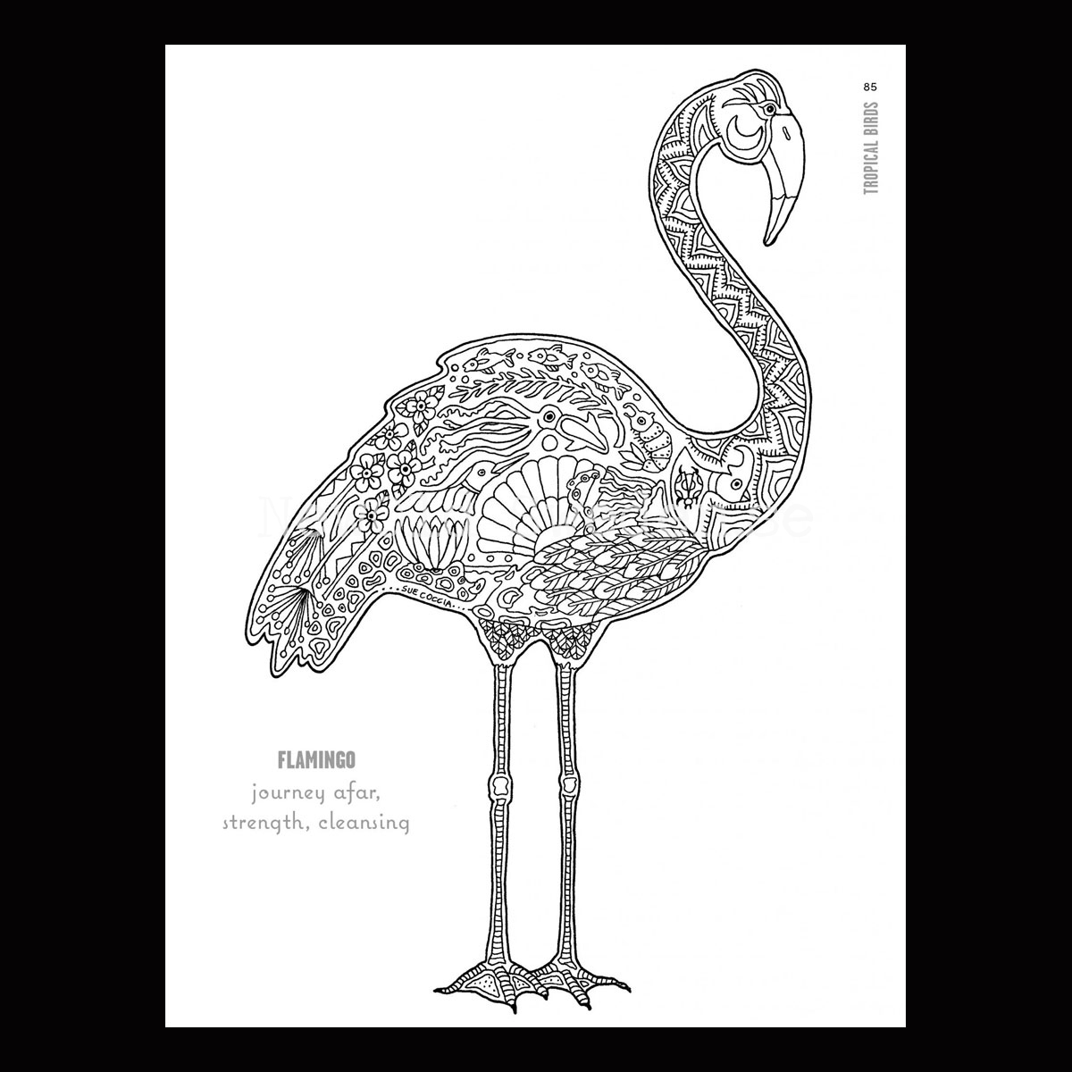 Colour Your Winged Spirit Animal Guides - L10 - 4