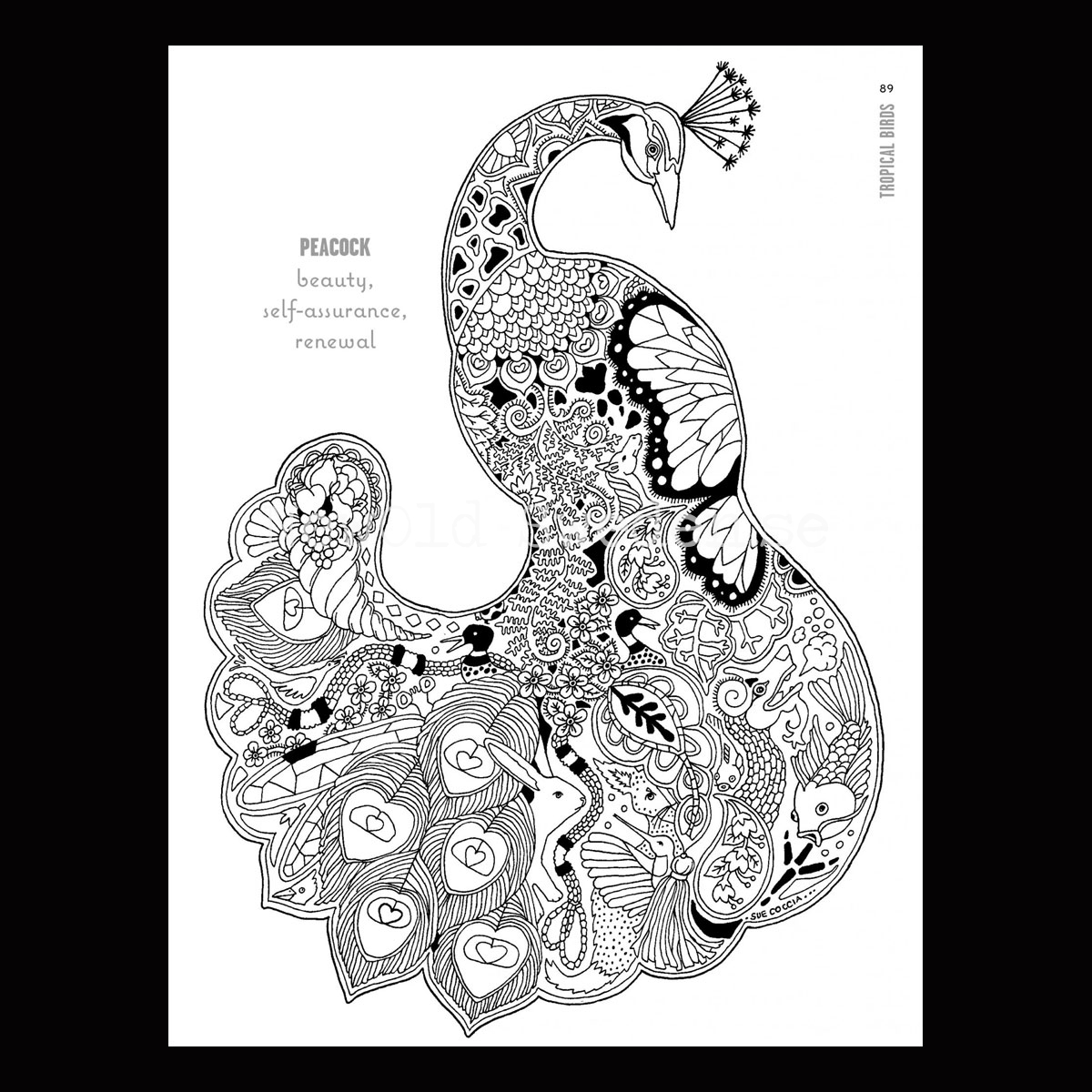 Colour Your Winged Spirit Animal Guides - L10 - 6