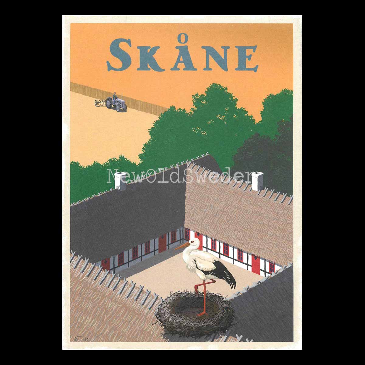 SKÅNE STORK GRÅLLE - ThomasO - 552