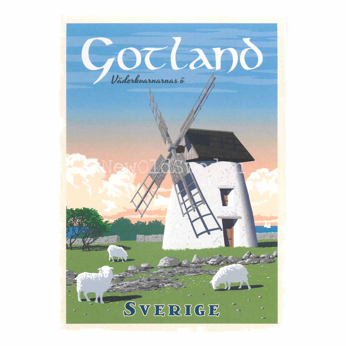 GOTLAND VÄDERKVARNARNAS Ö - Vykort 13 x 18 cm - ThomasO - 551 - 3
