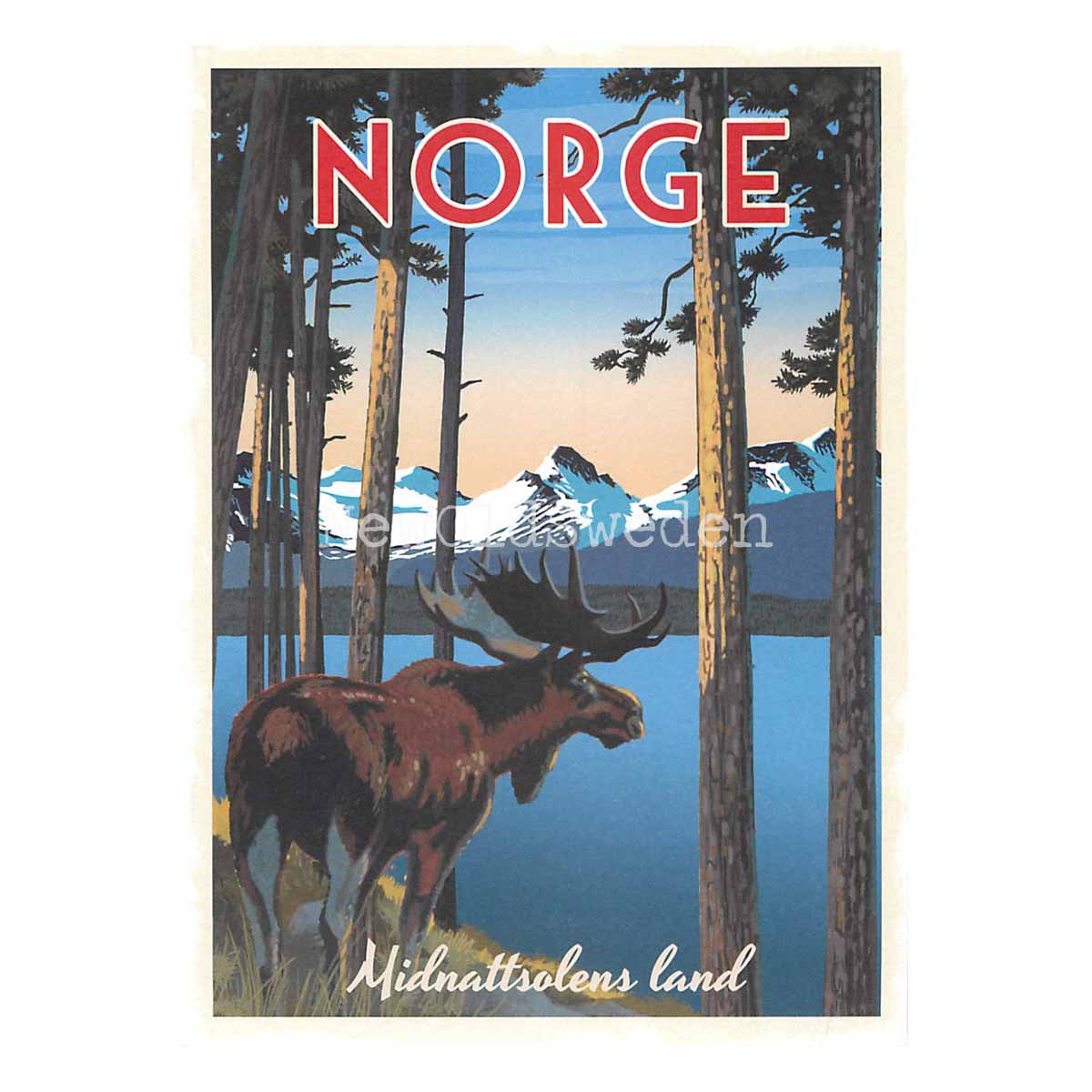 NORGE MIDNATTSOLENS LAND - Vykort 13 x 18 cm - ThomasO - 551 - 3