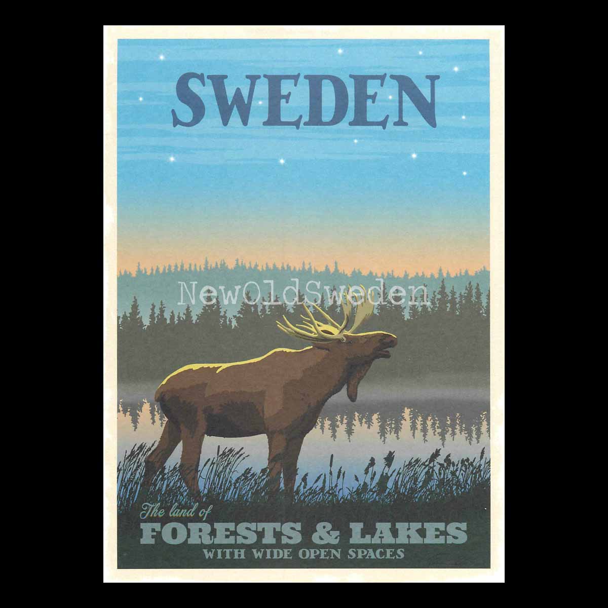 SWEDEN FORESTS & LAKES - Vykort 13 x 18 cm - ThomasO - 553