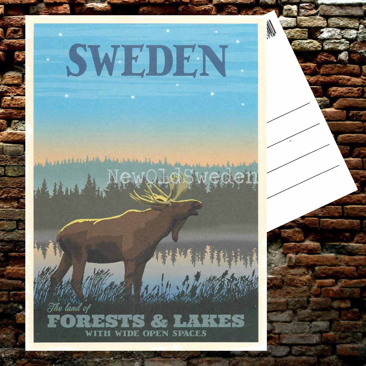 SWEDEN FORESTS & LAKES - Vykort 13 x 18 cm - ThomasO - 553 - 2