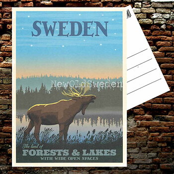 SWEDEN FORESTS & LAKES - Vykort 13 x 18 cm - ThomasO - 553