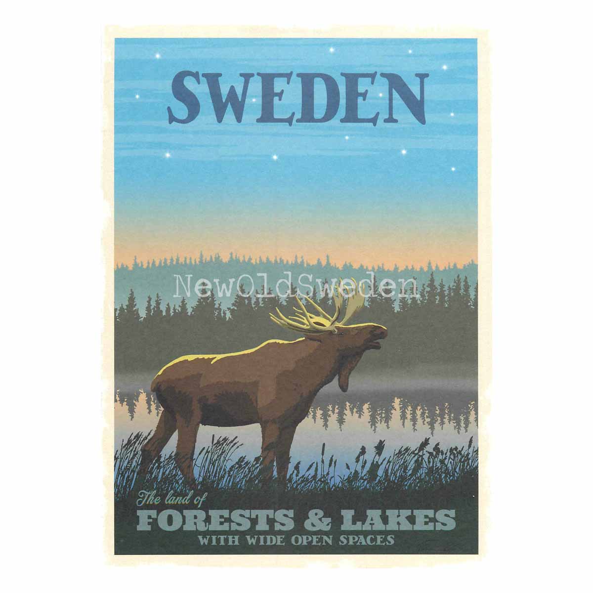 SWEDEN FORESTS & LAKES - Vykort 13 x 18 cm - ThomasO - 553 - 3