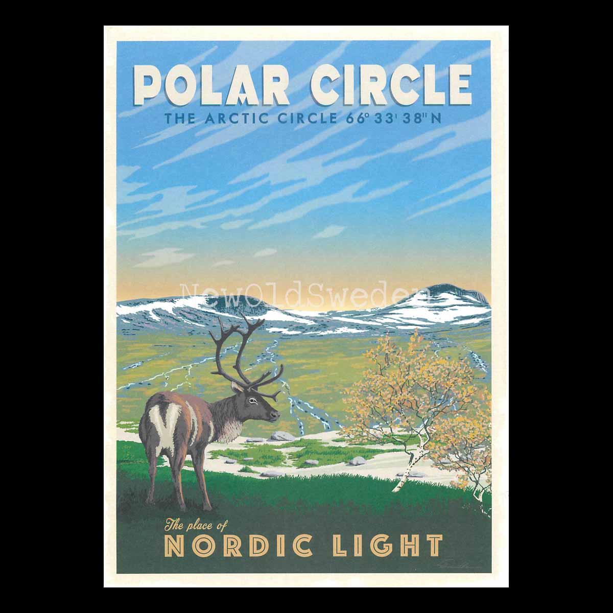 POLAR CIRCLE NORDIC LIGHT - ThomasO - 553
