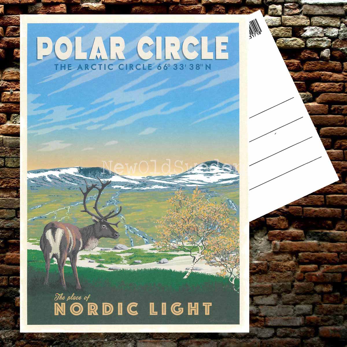 POLAR CIRCLE NORDIC LIGHT - ThomasO - 553 - 2