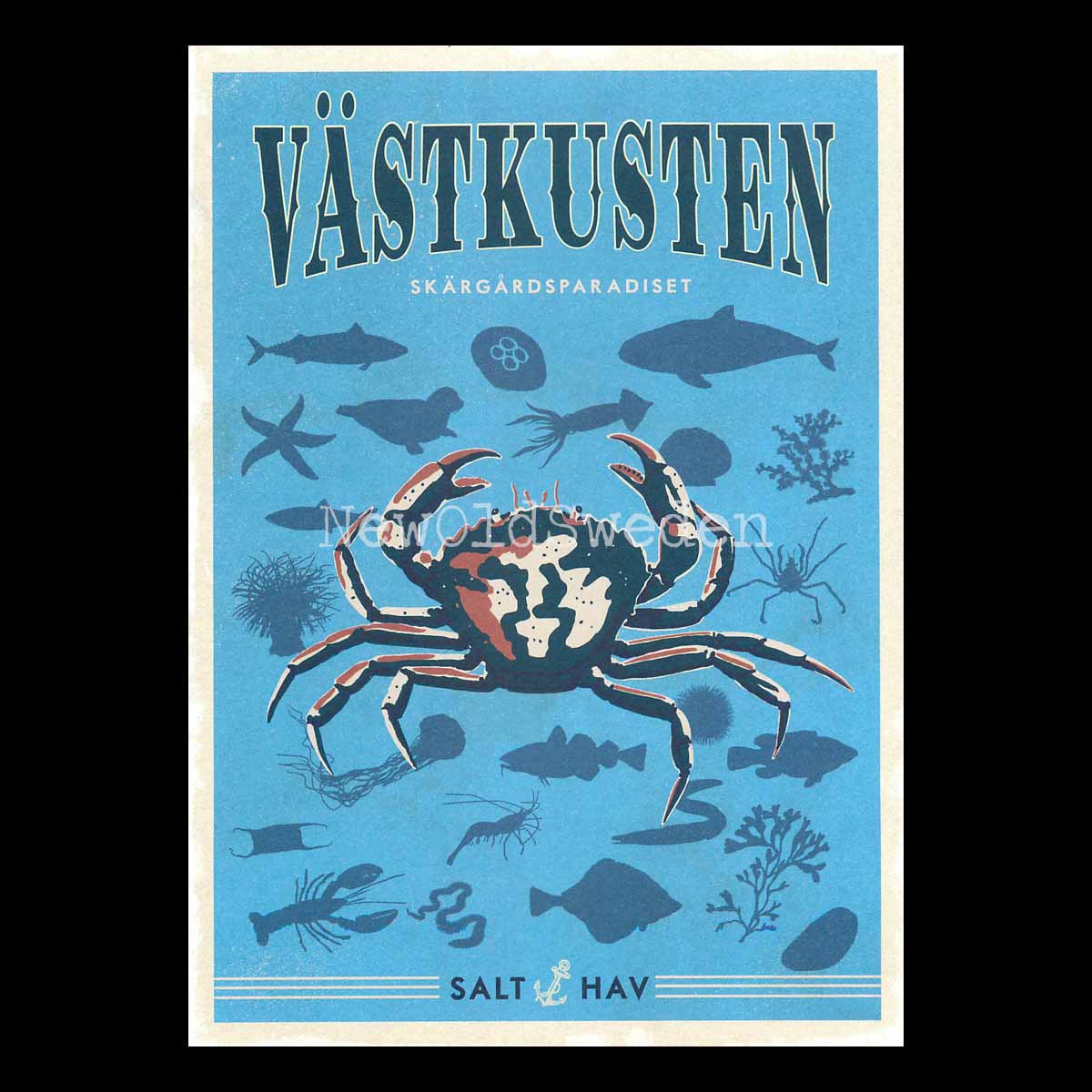 VÄSTKUSTEN - Vykort 13 x 18 cm - ThomasO - 553