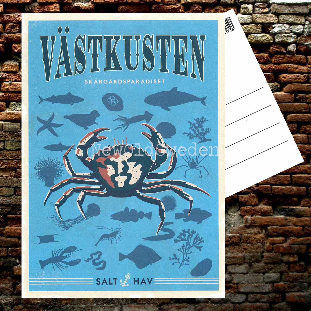 VÄSTKUSTEN - Vykort 13 x 18 cm - ThomasO - 553 - 2