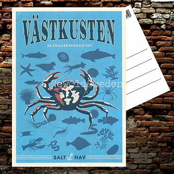 VÄSTKUSTEN - Vykort 13 x 18 cm - ThomasO - 553
