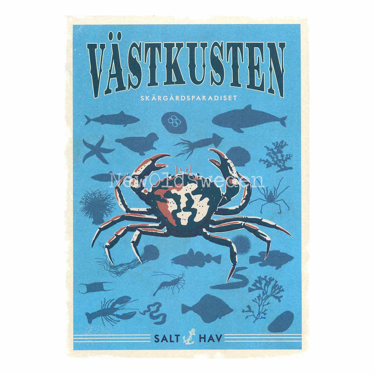 VÄSTKUSTEN - Vykort 13 x 18 cm - ThomasO - 553 - 3