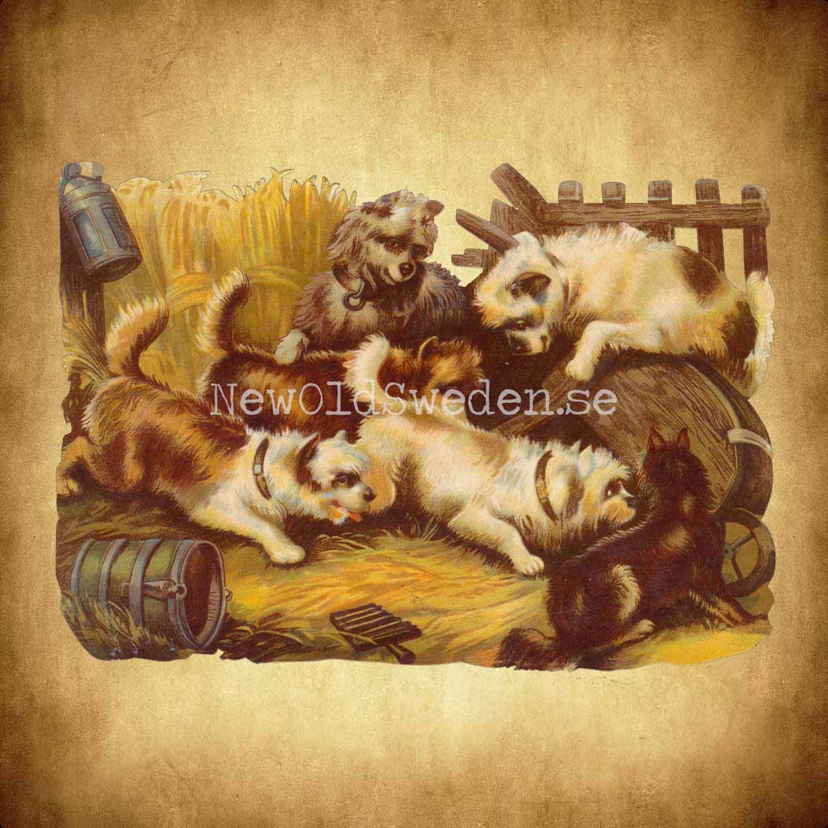 Puppies 16x11 cm - Bokmärke © Ernst Freihoff 5043 - 2