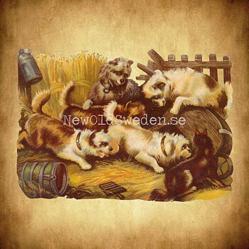 Puppies 16x11 cm - Bokmärke © Ernst Freihoff 5043