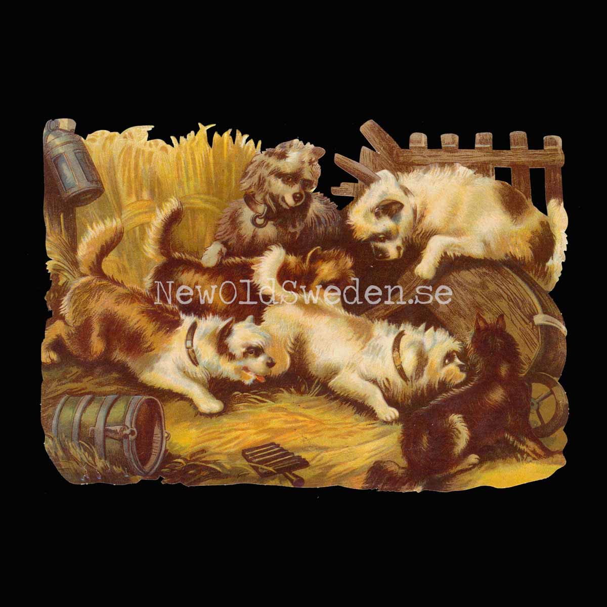 Puppies 16x11 cm - Bokmärke © Ernst Freihoff 5043