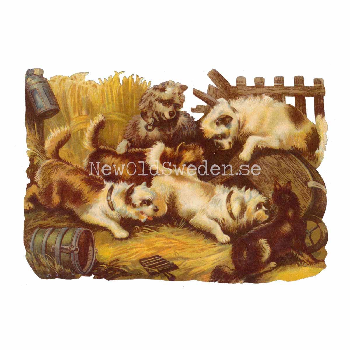 Puppies 16x11 cm - Bokmärke © Ernst Freihoff 5043 - 3