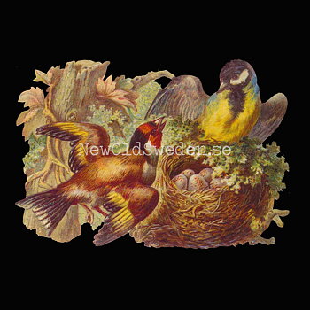 Nest with Birds 16.5x11 cm - Bokmärke © Ernst Freihoff 5044
