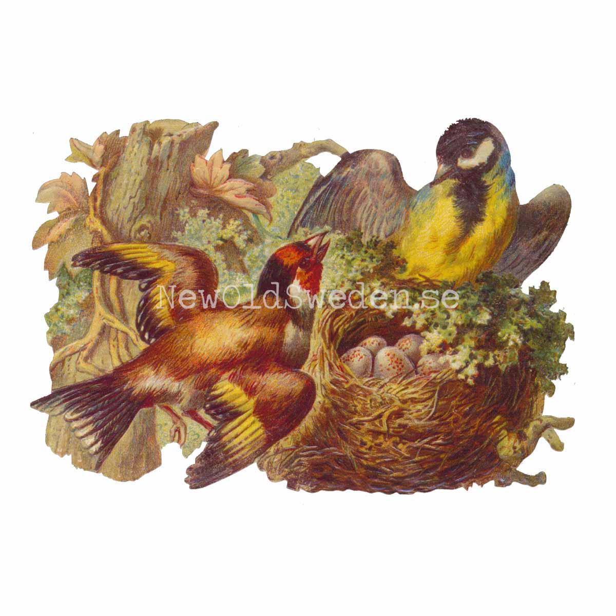 Nest with Birds 16.5x11 cm - Bokmärke © Ernst Freihoff 5044 - 3