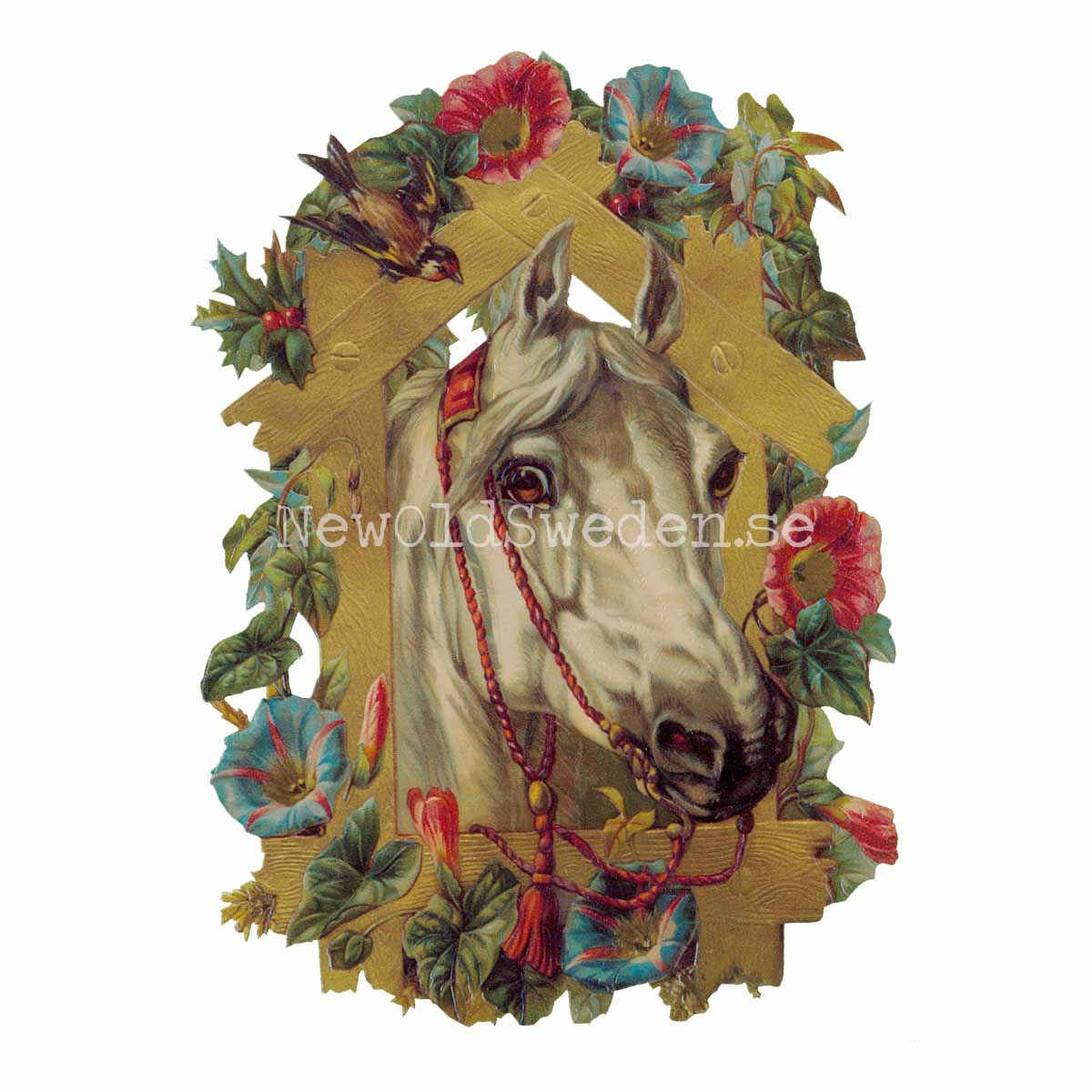 Horse´s Head 10.5x16 cm - Bokmärke © Ernst Freihoff 5053 - 3