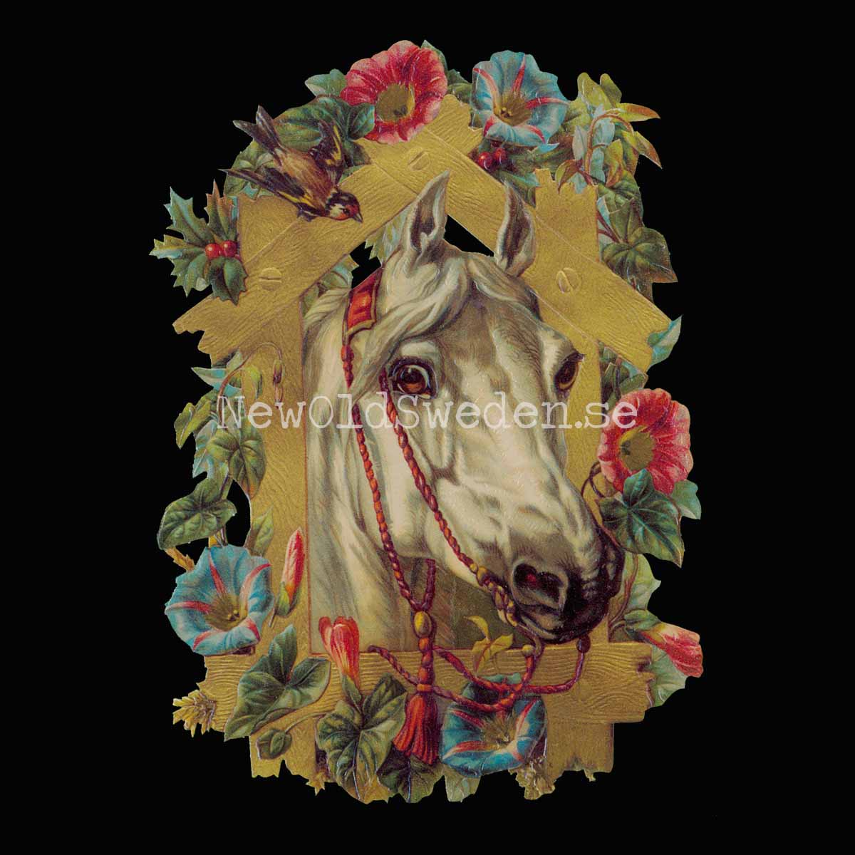 Horse´s Head 10.5x16 cm - Bokmärke © Ernst Freihoff 5053