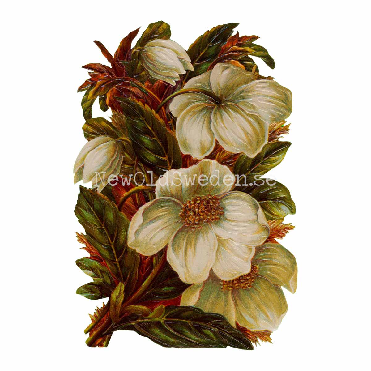 White Flowers 11.5x16.5 cm - Bokmärke © Ernst Freihoff 5059 - 3