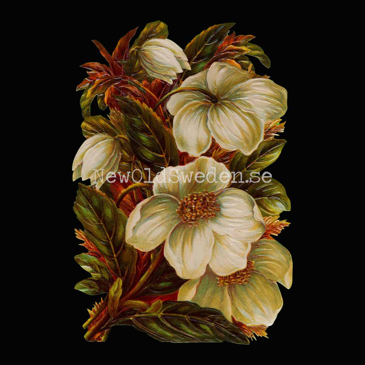 White Flowers 11.5x16.5 cm - Bokmärke © Ernst Freihoff 5059