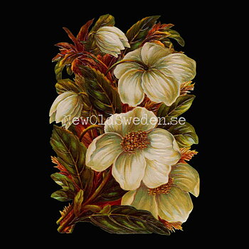 White Flowers 11.5x16.5 cm - Bokmärke © Ernst Freihoff 5059