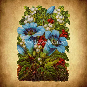 Blue Flowers 11.5x16.5 cm - Bokmärke © Ernst Freihoff 5060