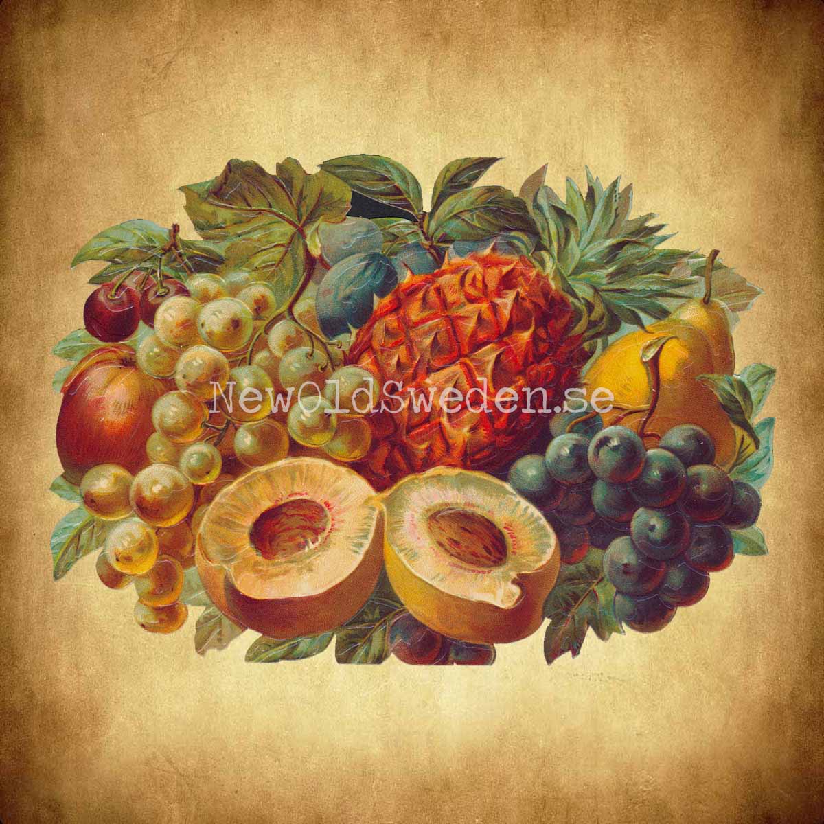 Basket with Fruit 16x11 cm - Bokmärke © Ernst Freihoff 5061 - 2